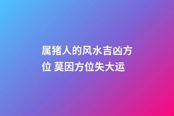 属猪人的风水吉凶方位 莫因方位失大运